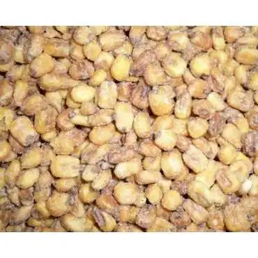 KIKO TENDRE SAN BLAS