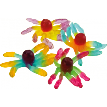 POULPES BRILLANTS TROLLI