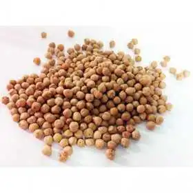 GARBANZO PEDROSILLANO SAN BLAS