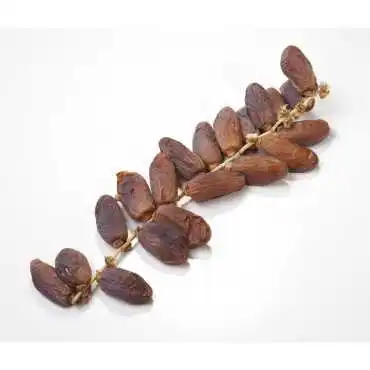 DATIL BRANCHE ALGÉRIENNE FRUTOS SECOS SAN BLAS