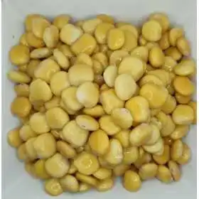 ALTRAMUCES SALADITOS