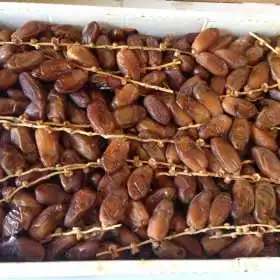 DATIL BRANCH TUNISIA SAGEL